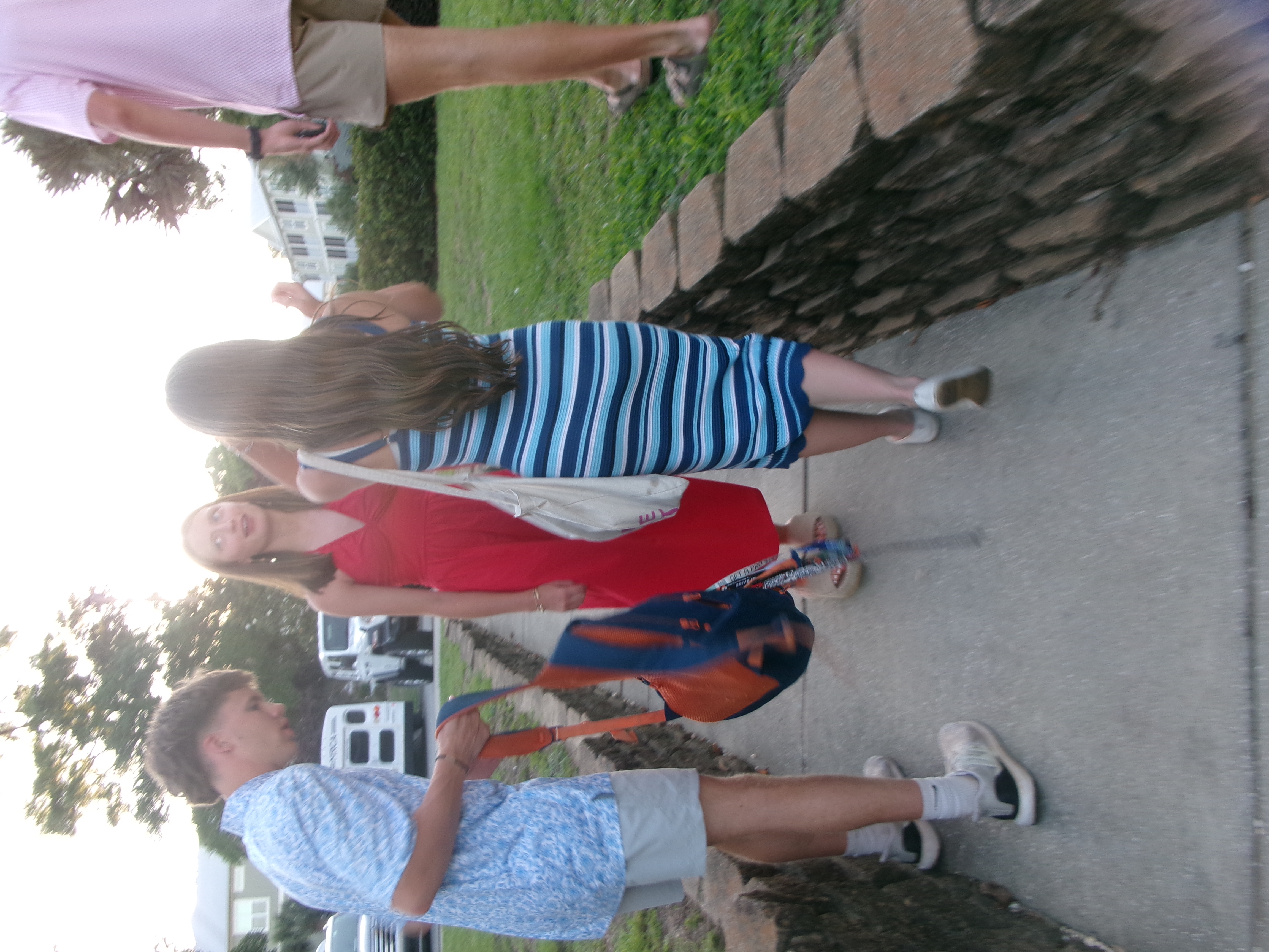 Image 255